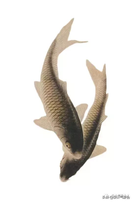 你嫉妒那个用古风出图的同事？我也嫉妒