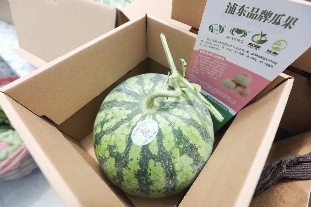 玩骑行和摄影,行走山野乡间赏田园风光