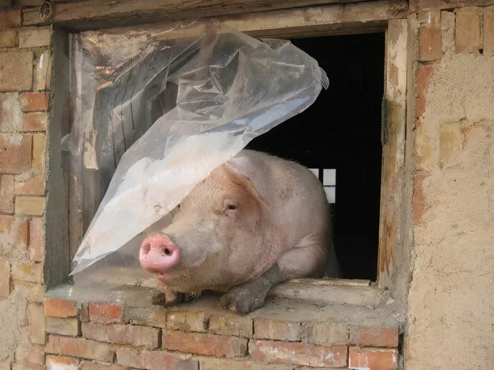 百家号运营的优缺点和感悟,百家号运营营销软件怎么使用