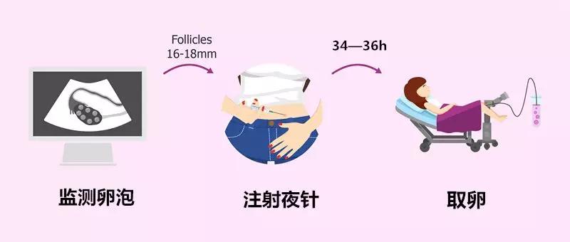 多囊促排卵的第二个月怎么用药,促排卵药物怎么存放冰箱