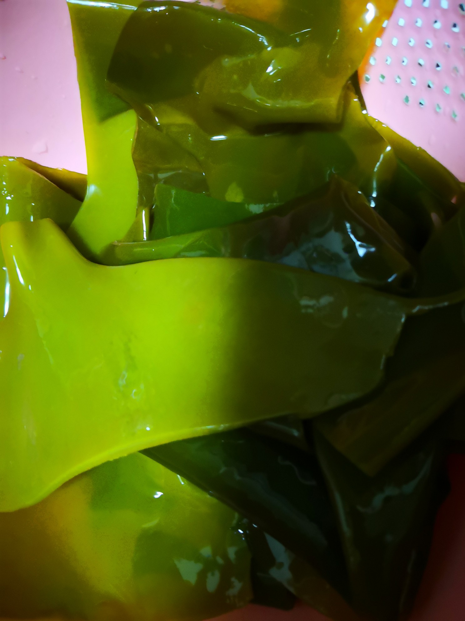 海带排骨怎么才没有海带的腥味,凉拌鲜海带怎么除去海带腥味