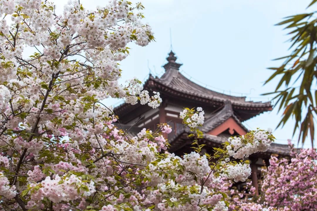 西安文化之旅旅游攻略,去西安玩应该注意什么