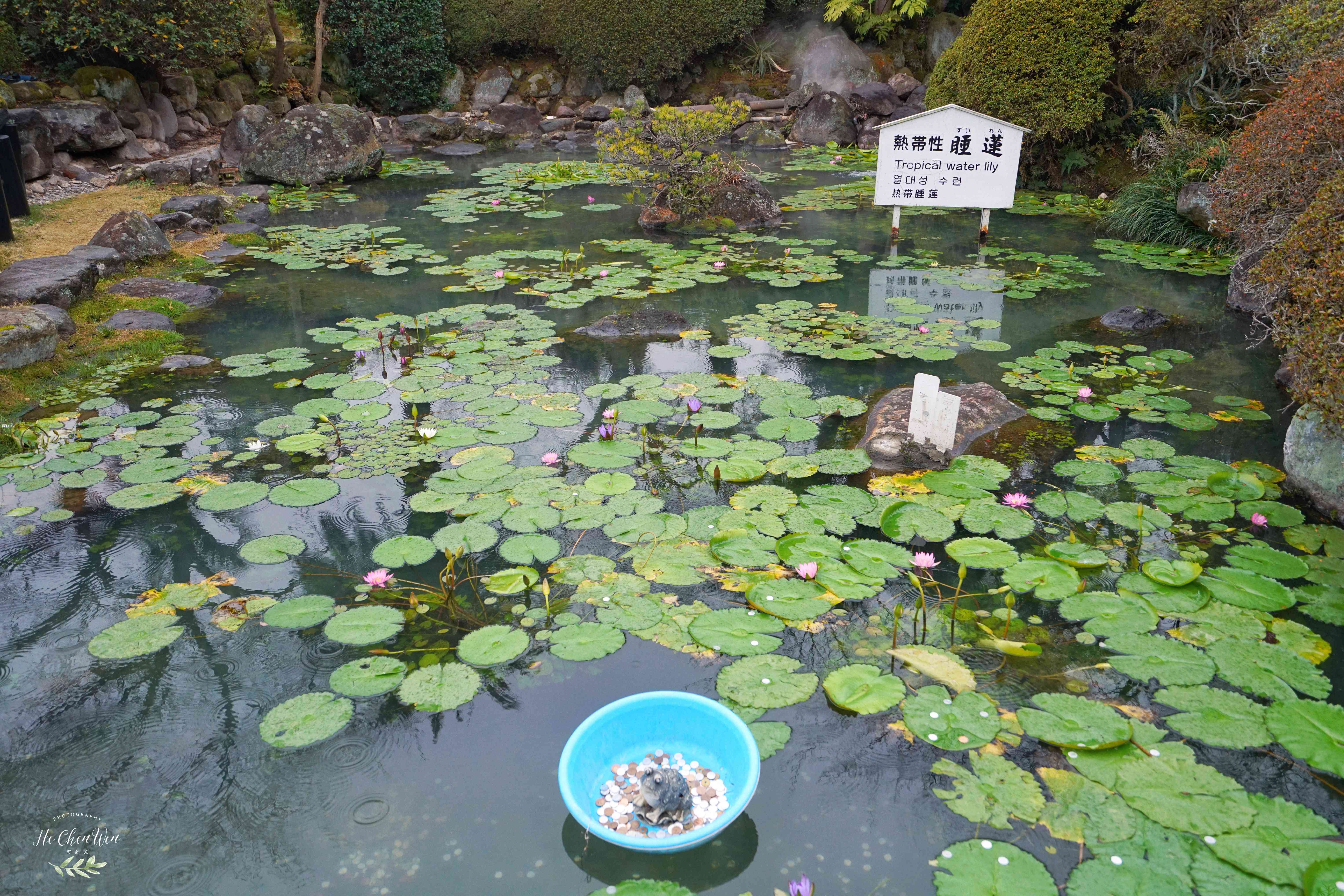 日本地狱温泉排名,日本最不可思议的温泉