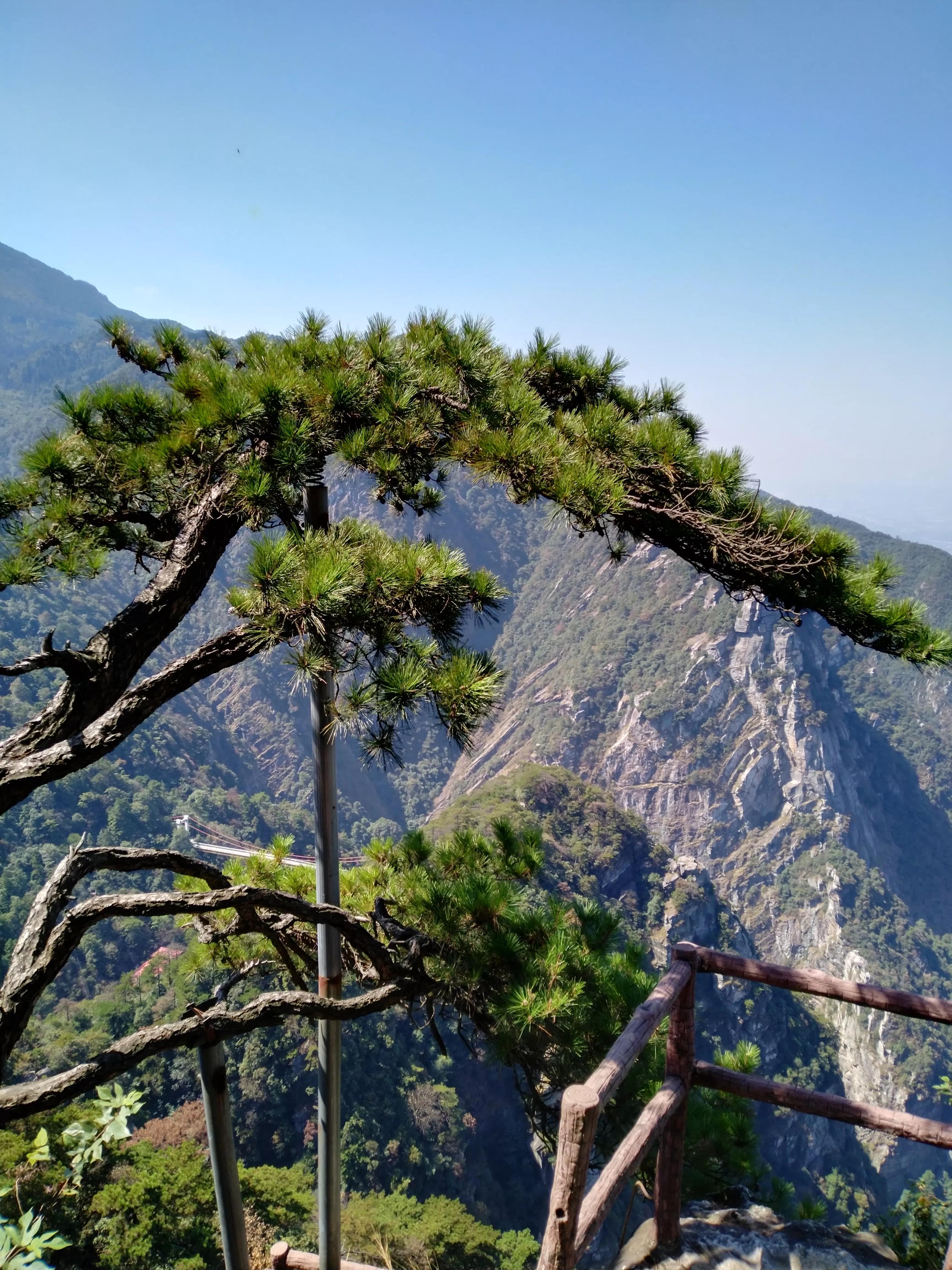 庐山风光如何,庐山风景美不美