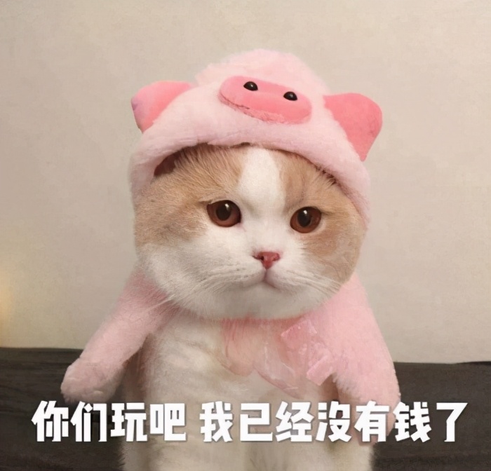 新游预报：开放世界《妄想山海》、正版《航海王热血航线》来啦