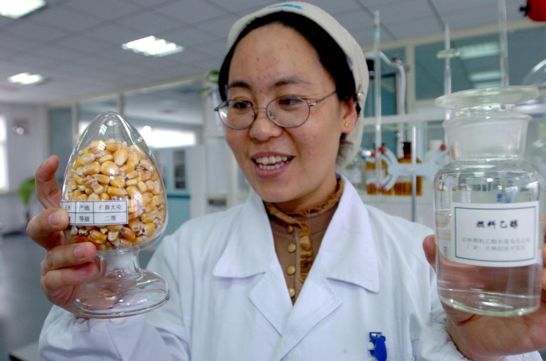 中国大豆惨败的一战,中国大豆困局如何解决