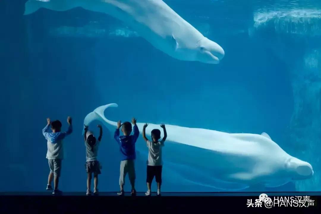 汉口夏天,汉口夏日