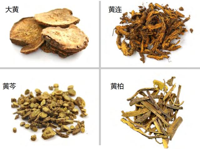 药象体会!(深解黄芩黄连黄柏附子麻黄石膏大黄)