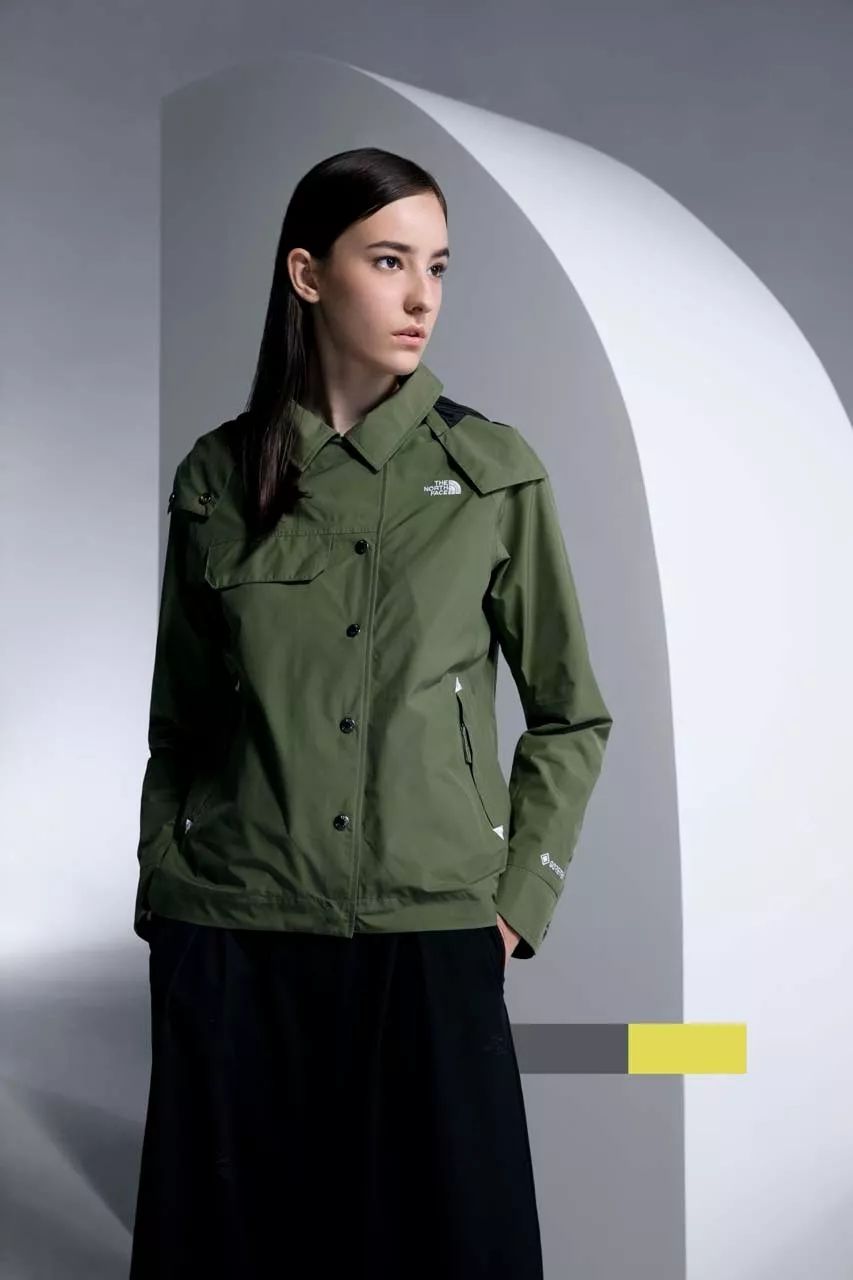 thenorthface20周年款,thenorthface19fw日版