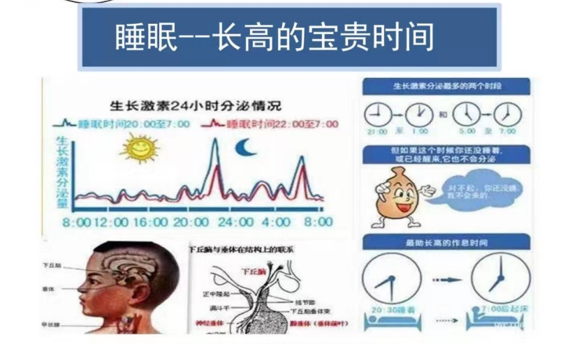 春季长高黄金期孩子蹿个儿有妙招,春发夏长秋收冬藏与人的身体关系