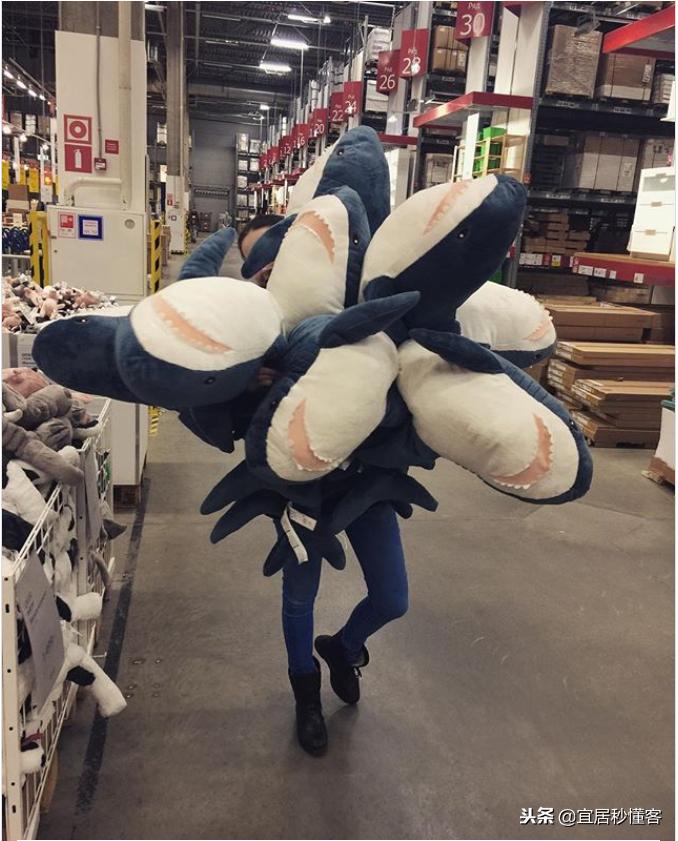 宜家小鲨鱼,为什么宜家鲨鱼火了