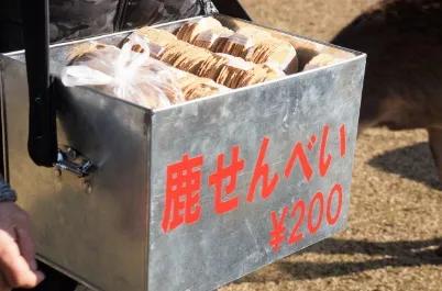 少了中国游客，整个旅游生态圈都乱了！