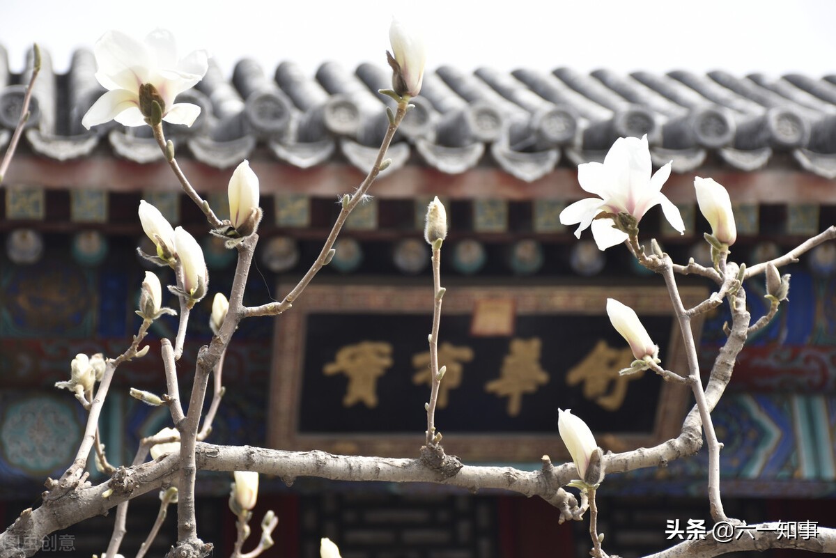 富华陈丽华视频,富豪陈丽华富华国际