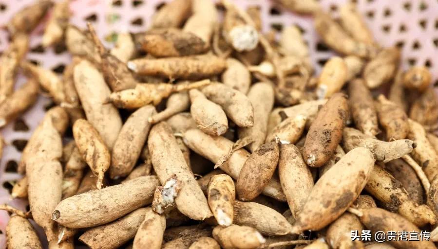 贵港十大旅游村,贵港古镇古村落有哪些景点