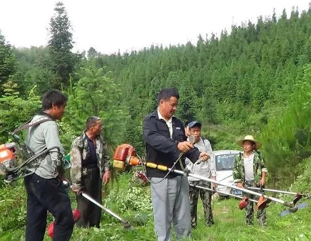 最好的割草神器电动工具,100种割草的神器