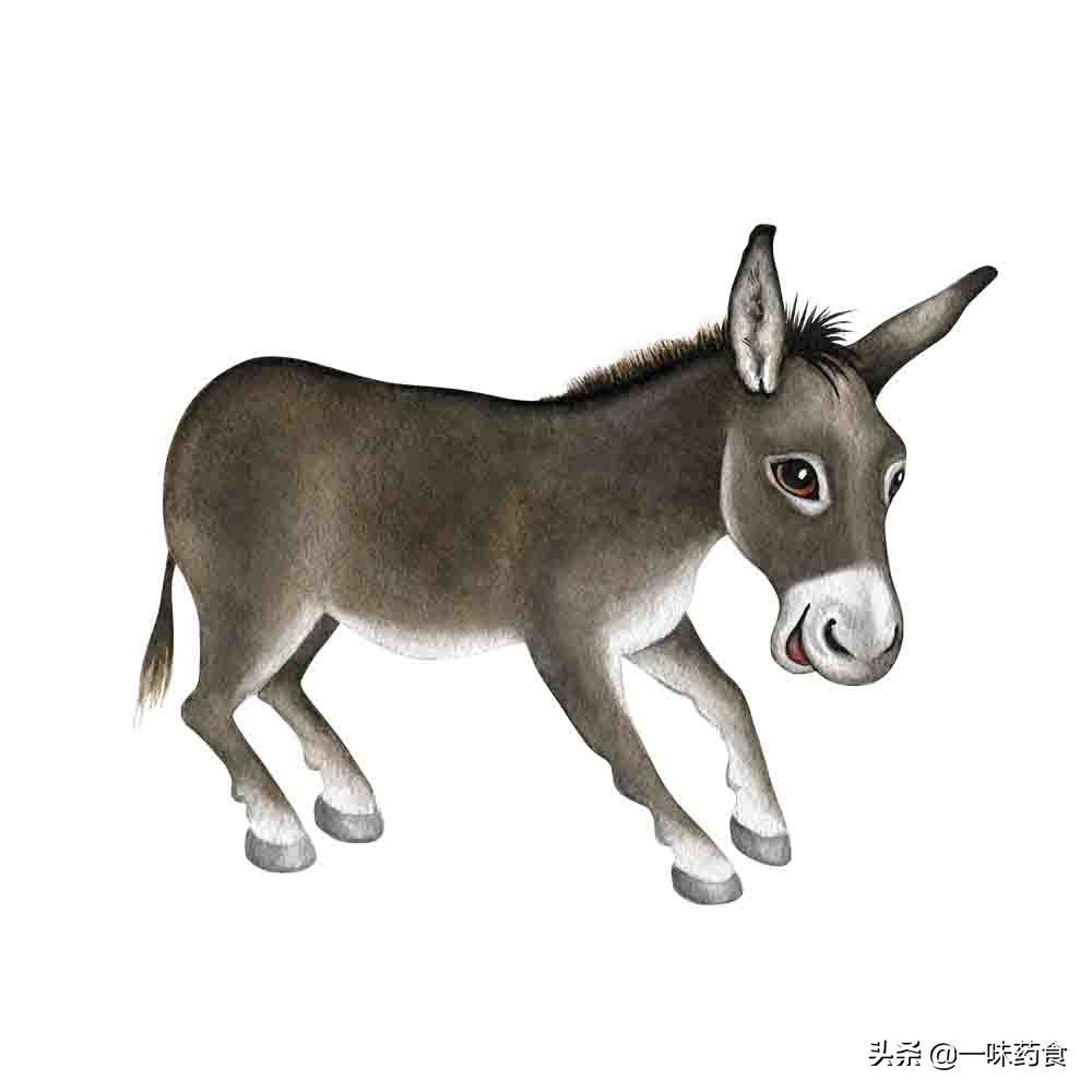 阿胶并非是补血万能的神奇补品,阿胶涨价