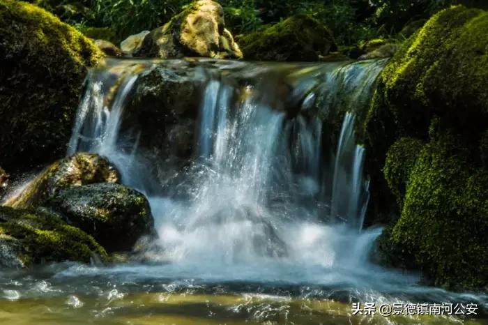 江浙诗友会雅集|三春丽景三春醉,一院清香一院诗