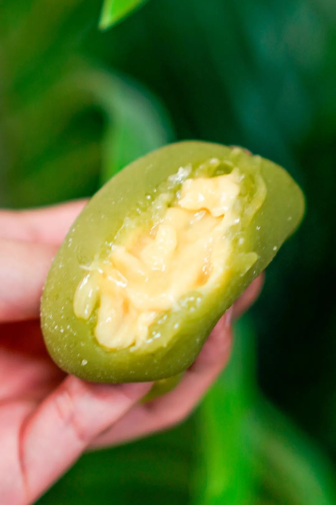 不一样的青团又香又糯,青团测评吃过这12款青团后