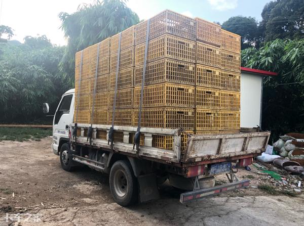 没有花哨外表的车,没有花里胡哨的外表