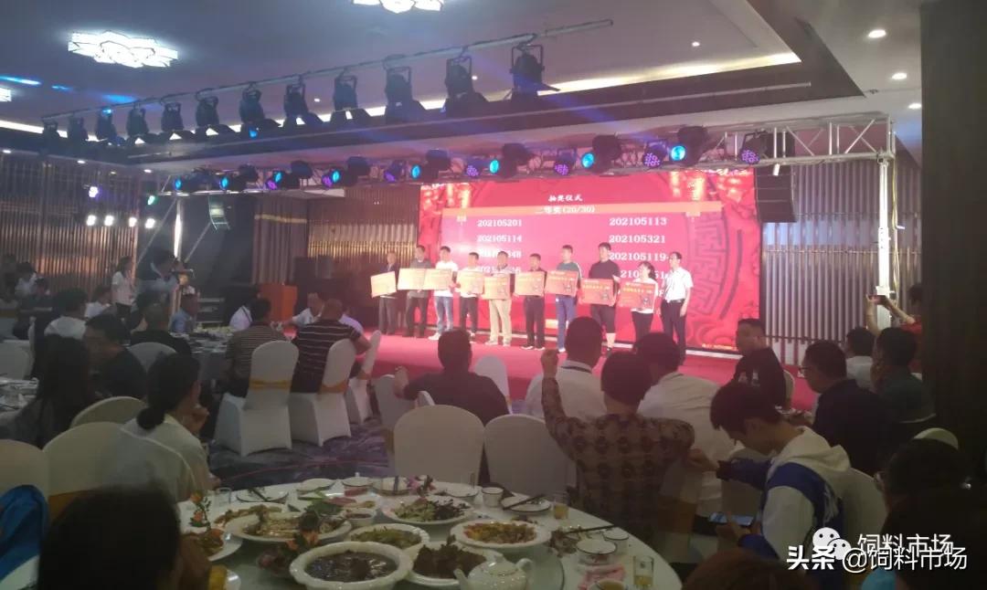 山东活力集团,长清区活力集团