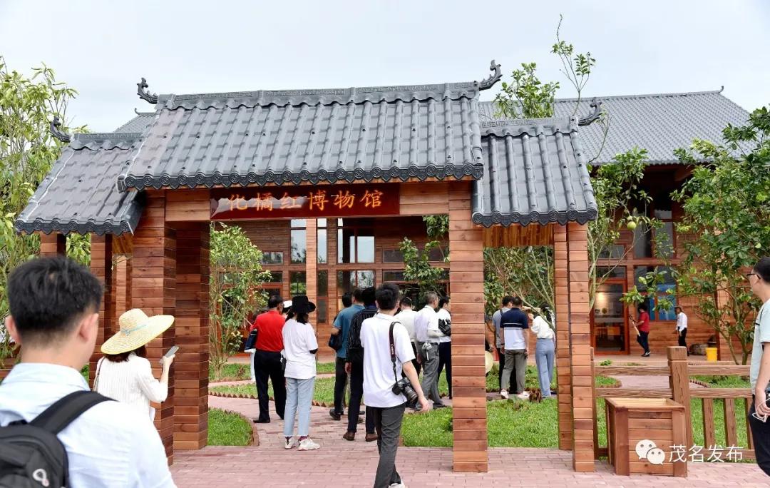 乡村振兴看辉煌,乡村振兴看东富