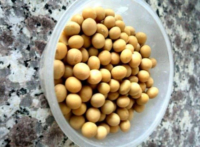 豆芽泡水发芽,水泡发豆芽