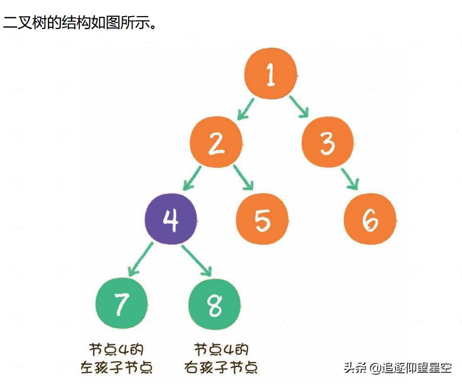 什么是数据结构和算法分析,数据结构和算法在哪里学习最好