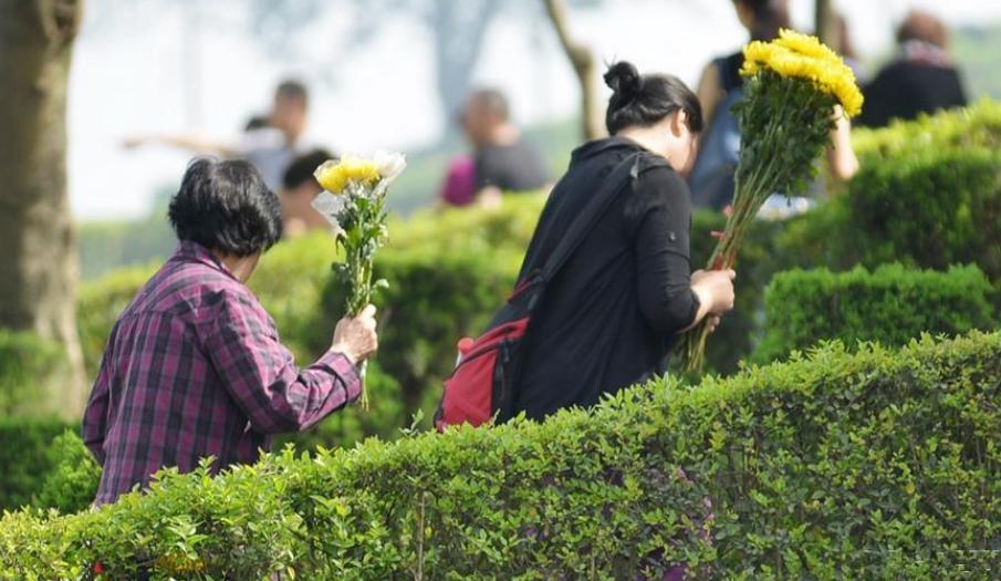 坟头塌子孙稀什么意思,坟头塌消子孙稀是啥意思