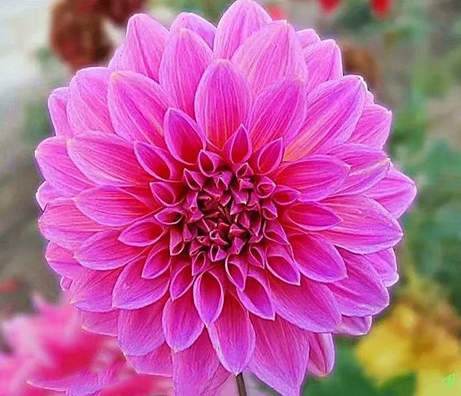 2019年快要结束的感悟,2019马上过去了