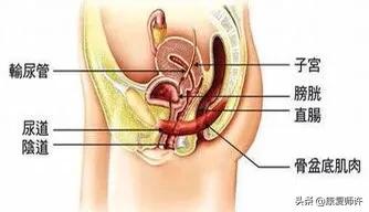 产后腹直肌分离的解决方法,产后腹直肌分离怎么处理
