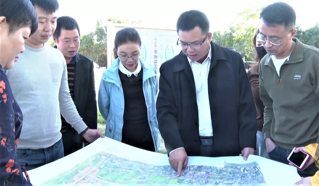 杨大东到相思洲,杨大东平南县委书记