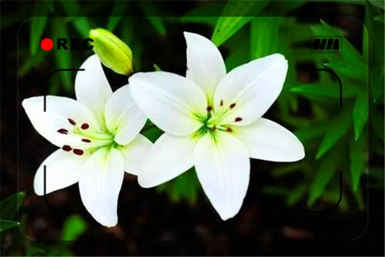 普通人如何做到白手起家,普通人如何白手起家改变命运