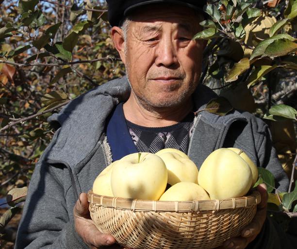 夏天吃什么水果解暑又解馋,炎热夏天吃哪些水果好吃