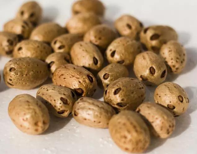 <html>
<head><title>502BadGateway</title></head>
<body>
<center><h1>502BadGateway</h1></center>
<hr><center>nginx</center>
</body>
</html>
<!--apaddingtodisableMSIEandChromefriendlyerrorpage-->
<!--apaddingtodisableMSIEandChromefriendlyerrorpage-->
<!--apaddingtodisableMSIEandChromefriendlyerrorpage-->
<!--apaddingtodisableMSIEandChromefriendlyerrorpage-->
<!--apaddingtodisableMSIEandChromefriendlyerrorpage-->
<!--apaddingtodisableMSIEandChromefriendlyerrorpage-->
