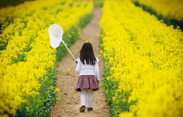 2岁孩子叛逆期如何正确引导,孩子叛逆第二天怎么教育