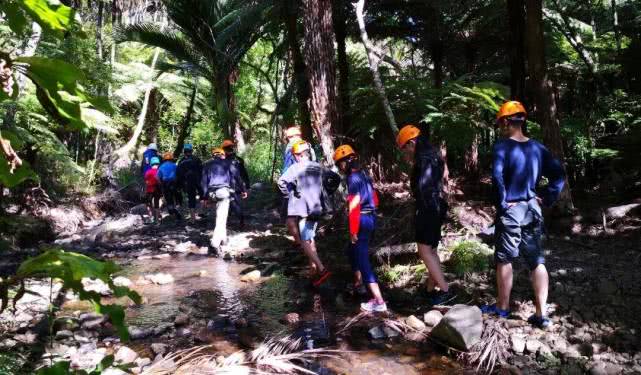 深夜,妈妈被窝惊现“千足虫”,原来竟是6岁儿子有这嗜好