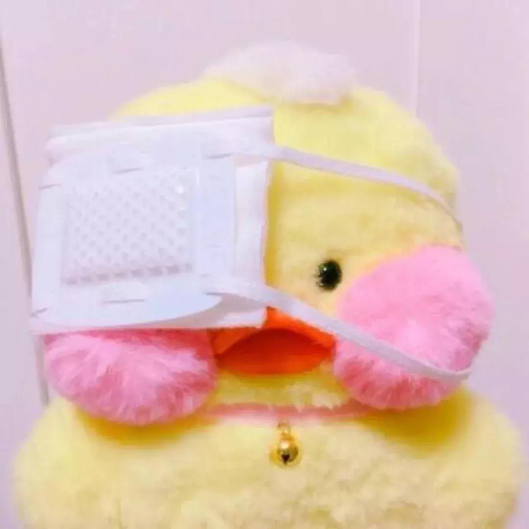 36张网红玻尿酸鸭头像图：遇见就好了，余生就算了