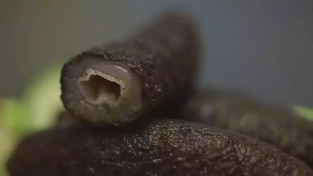 乐拍商城电话订购,乐拍12周年嘉年华