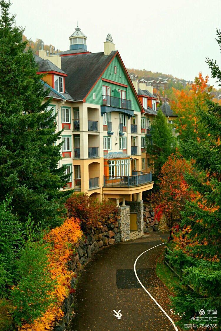 鍖楃編鏋儏閽荤煶姗℃湪,鍖楃編鏋儏鐏攨