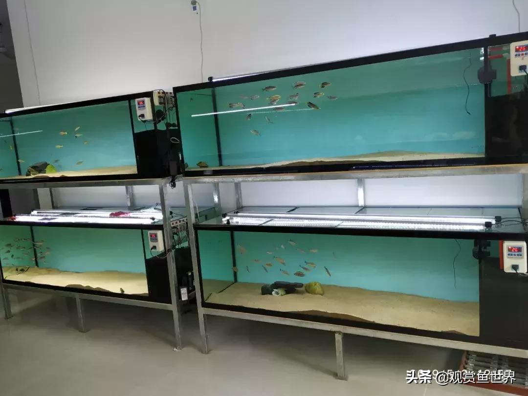 梦想的三湖世界持续建设中……方位:中国天津