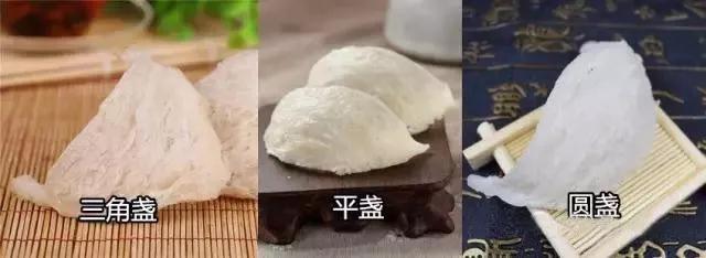 燕窝知识演讲,燕窝知识小视频