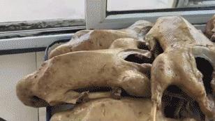 昔日宫廷帝王宴今朝民间百姓餐,昔日帝王宴今朝百姓餐