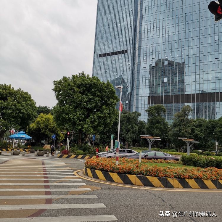 南海顺德为什么并入佛山,南海新区撤区影响