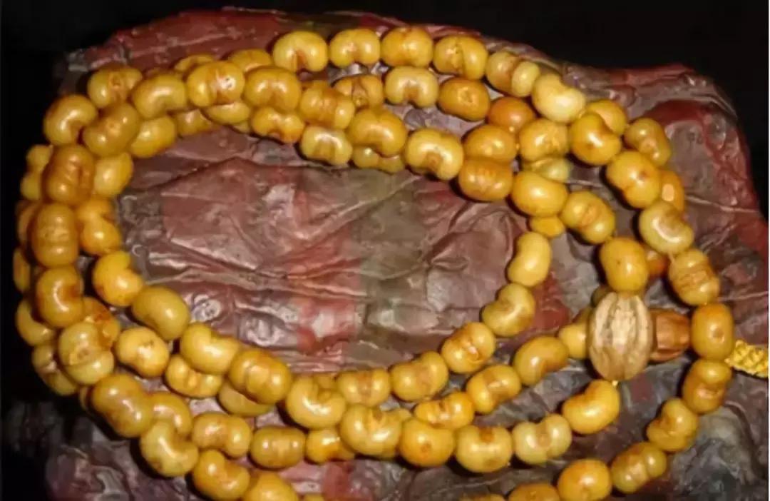 认识了70种菩提，您就是半个专家，再逛文玩市场就没有压力啦！