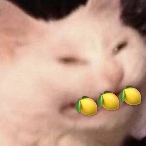 陈昱霖的名表,珍爱生命远离爆款