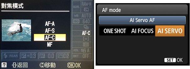 拍鸟类的拍摄方法,拍摄鸟类的入门技巧