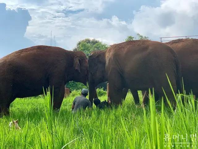 爽啊，一波爆炸！春节假期终于可以彻夜狂欢（上）
