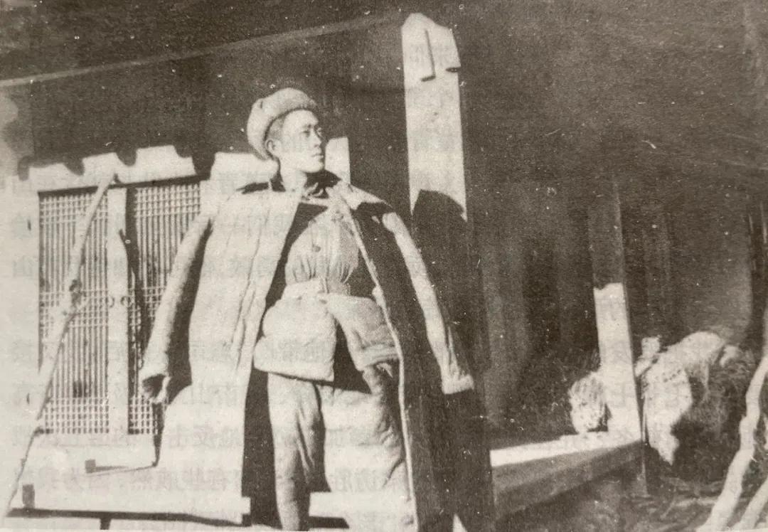 曹宠,曹保育教学随笔