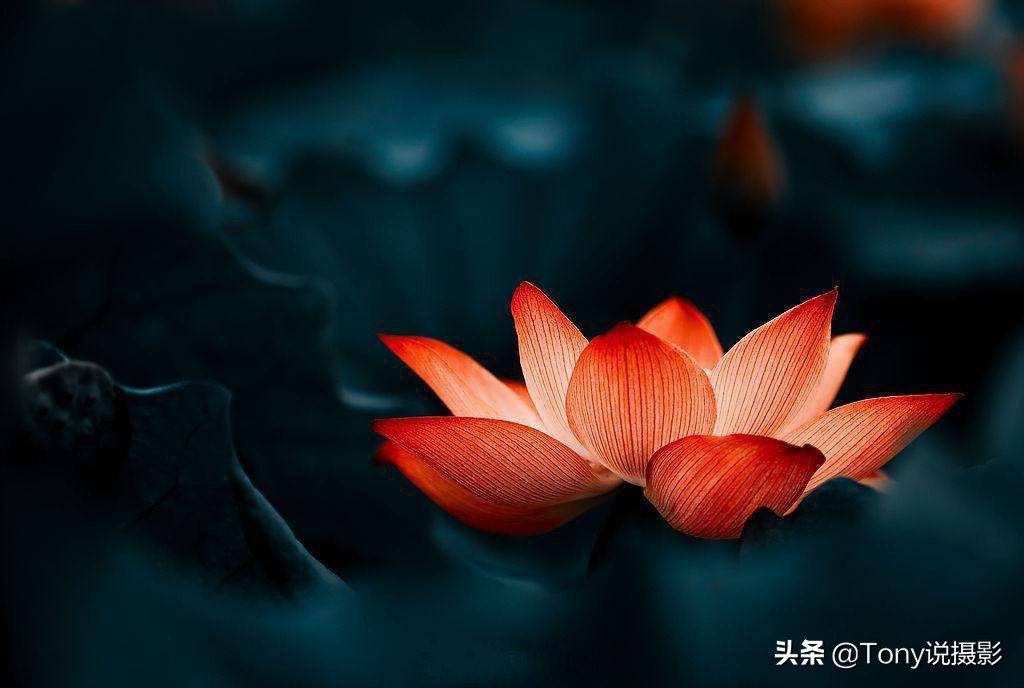 系统学摄影入门视频教程,摄影教程测光与曝光