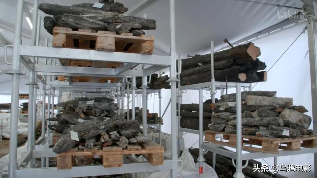 热搜背后真相是什么,热搜榜掉了还能恢复吗